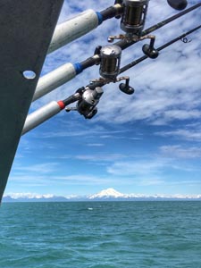 crooked creek outfitters kasilof alaska fishing 17