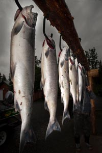 view more: http://gainsboro.pass.us/crookedcreek