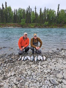 crooked creek outfitters kasilof alaska fishing 43