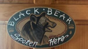 crooked creek outfitters kasilof alaska fishing lodge16