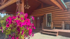 crooked creek outfitters kasilof alaska fishing lodge19