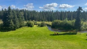 crooked creek outfitters kasilof alaska fishing lodge23