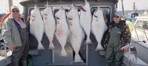 crooked creek outfitters kasilof alaska halibut fishing 1