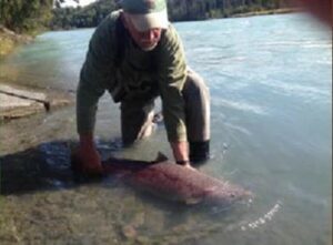 crooked creek outfitters kasilof alaska salmon fishing 37