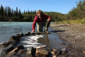 crooked creek outfitters kasilof alaska trout fishing 1