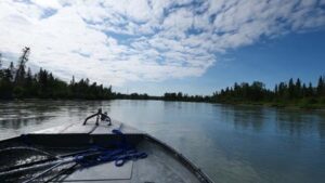 crooked creek outfitters kasilof alaska trout fishing 18