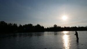 crooked creek outfitters kasilof alaska trout fishing 19