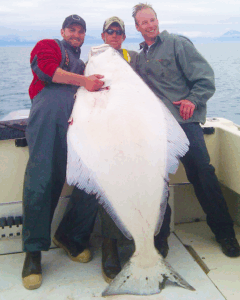 halibut