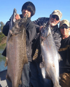 Crooked creek outfitters kasilof alsaka big alaskan salmon 972