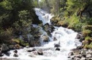 crooked creek outfitters kasilof alaska adventures11