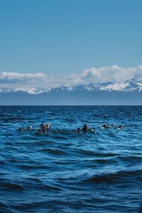 crooked creek outfitters kasilof alaska adventures3