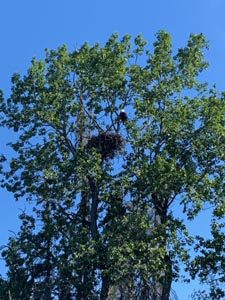 crooked creek outfitters kasilof alaska adventures5