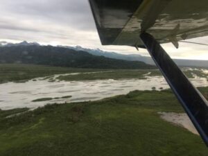 crooked creek outfitters kasilof alaska adventures6