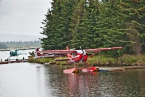 view more: http://gainsboro.pass.us/crookedcreek