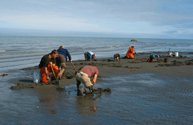 crooked creek alaska adenures 4