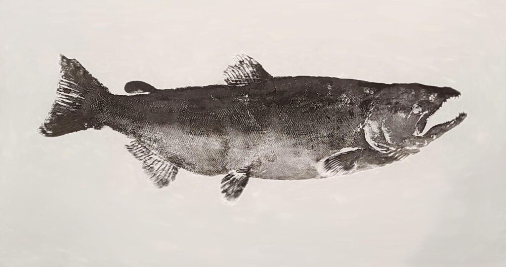 fish print crooked creek retreat alaska