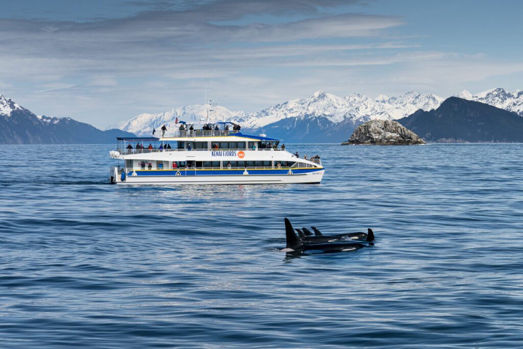kenai fjord tour