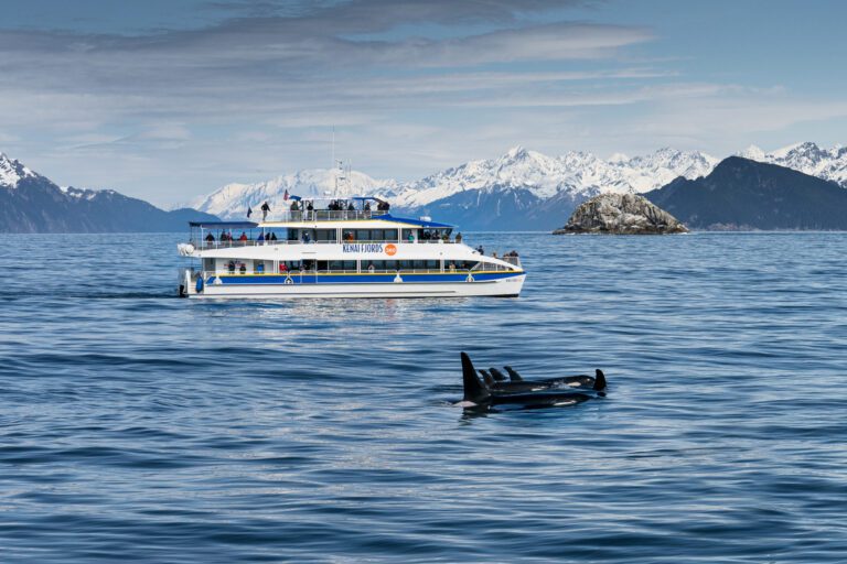 kenai fjord tour